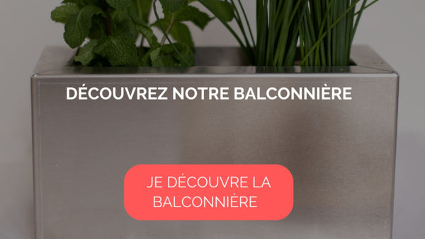 Plante aromatique balcon : composez et réalisez votre jardinière