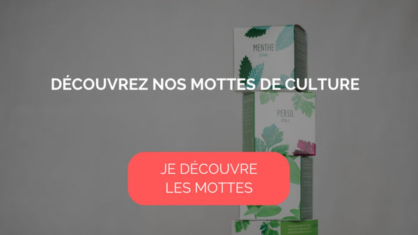 mottes de culture