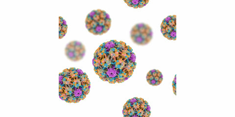 Bunte HPV-Viren