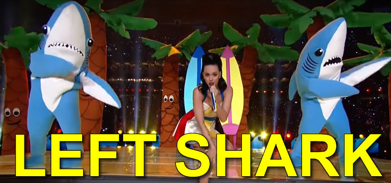 All about Left Shark