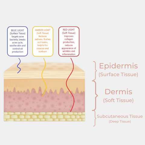 Different wavelengths of light penetrating the skin at different depths