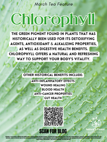 Chlorophyll Info Sheet