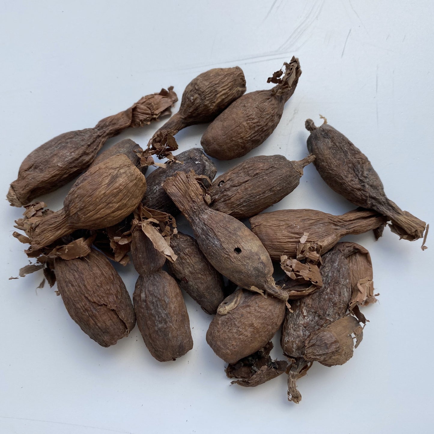 Feuille de djeka véritable 100% naturelle du Sénégal 50 grammes :  : Épicerie