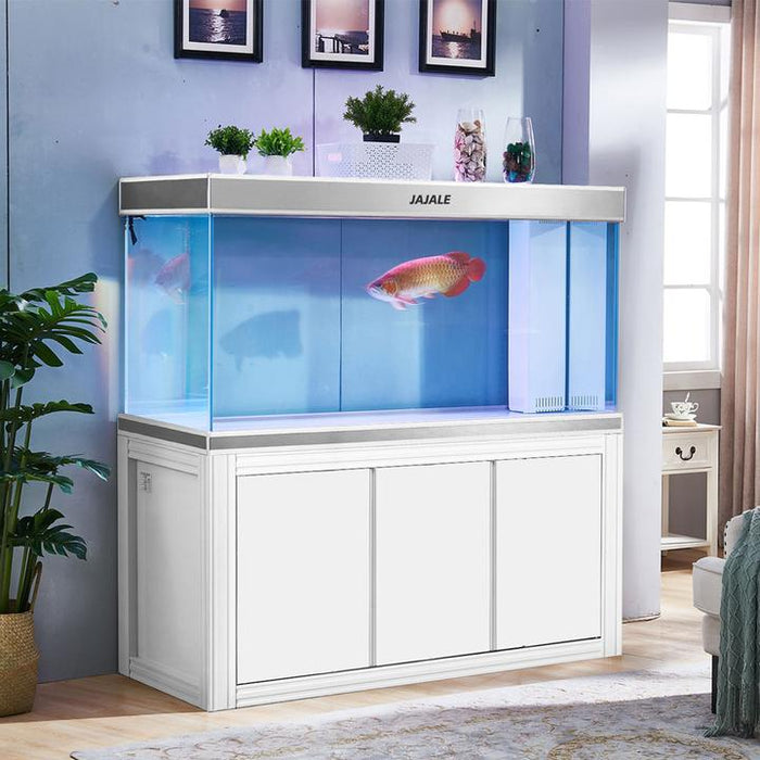 aqua dream aquarium