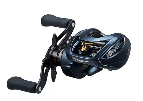 Daiwa Coastal TW 80 Casting Reel