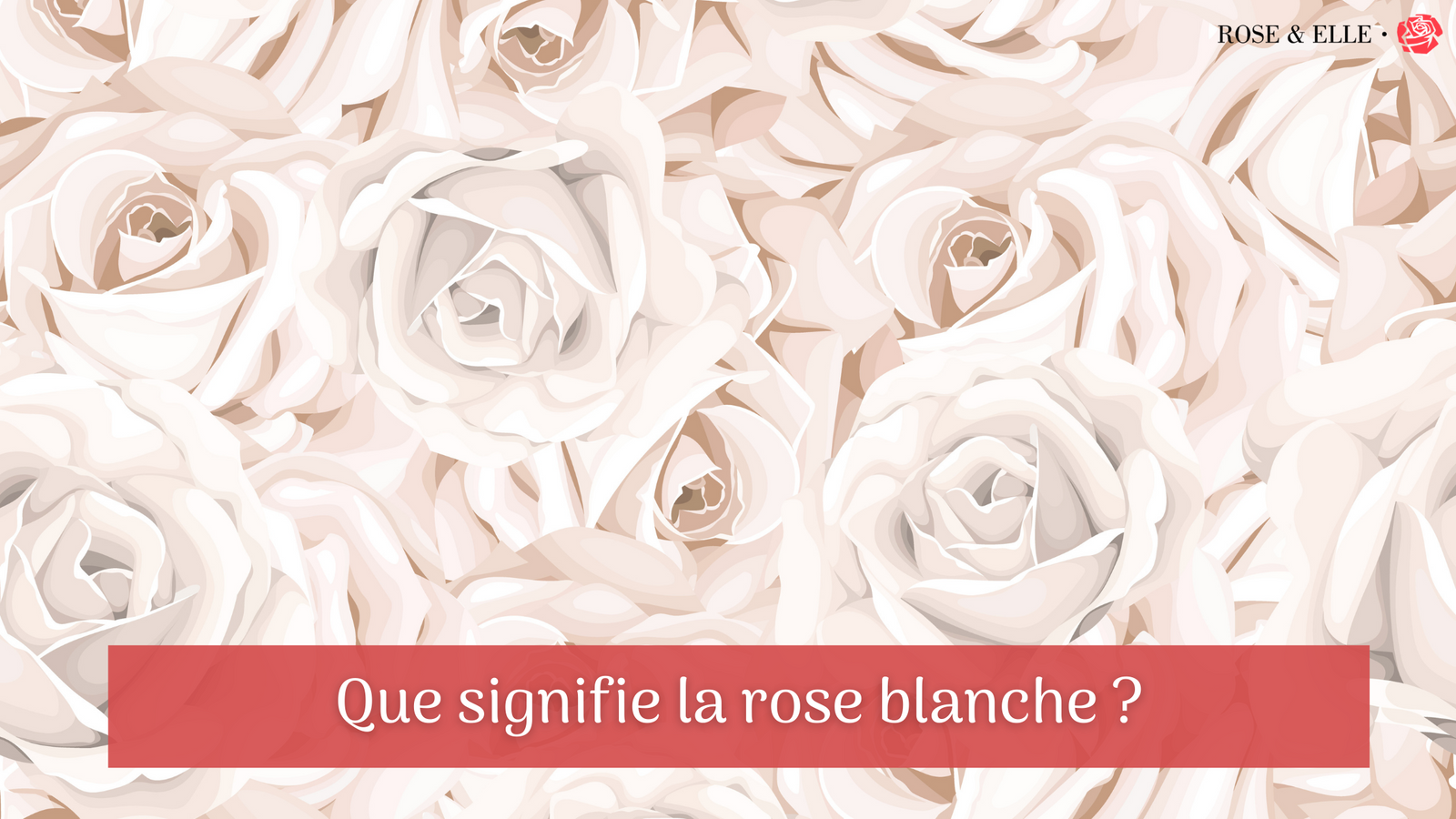 Que Signifie La Rose Blanche Rose Elle