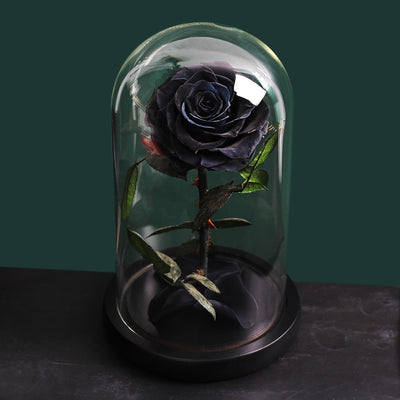 Rose Éternelle | Rose Stabilisée | Rose & Elle