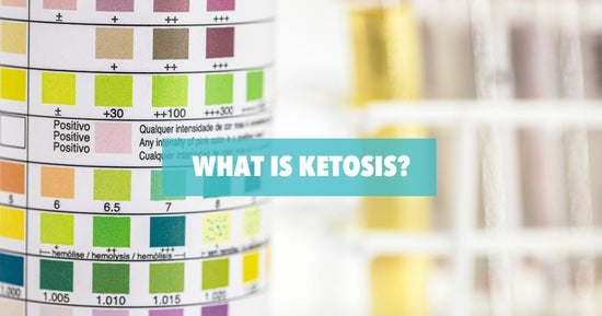 what is ketosis