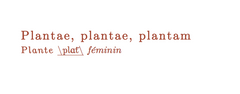 plantes et actifs