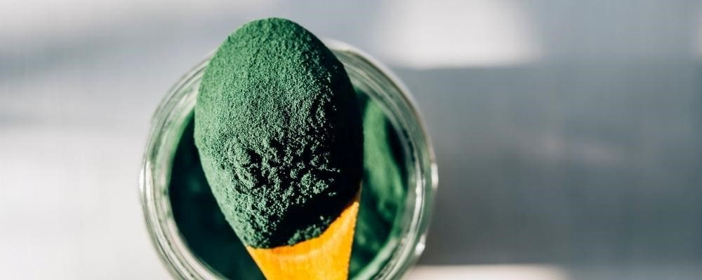 cuillere bois poudre spiruline