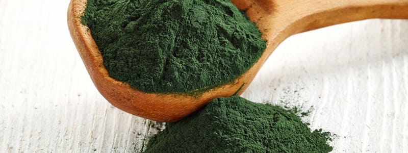 cuillere poudre spiruline