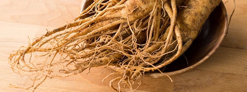 ginseng racine