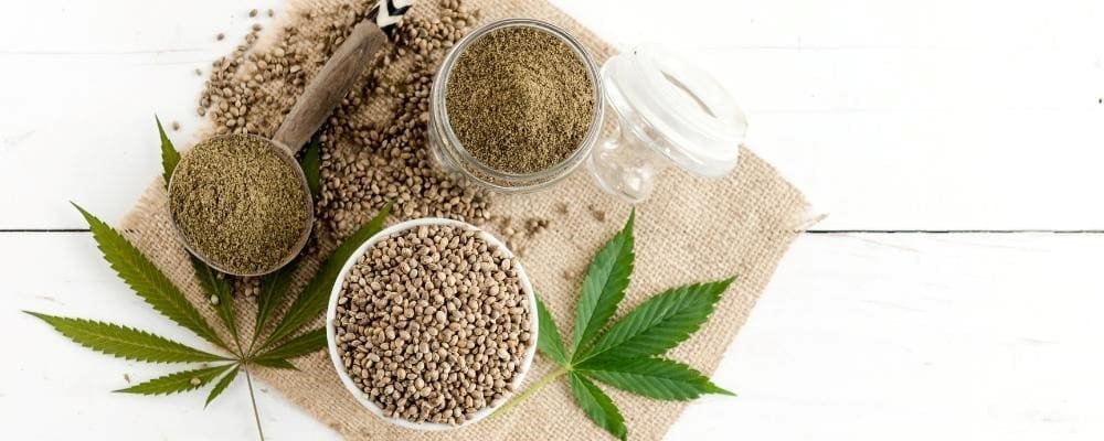 graines chanvre cannabis sativa