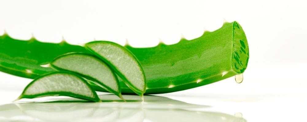 ingredient aloe vera