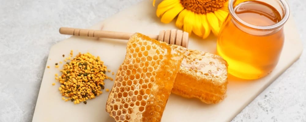 pollen miel blocs alveoles