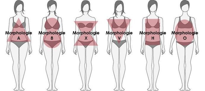 Les différents types de morphologie chez la femme