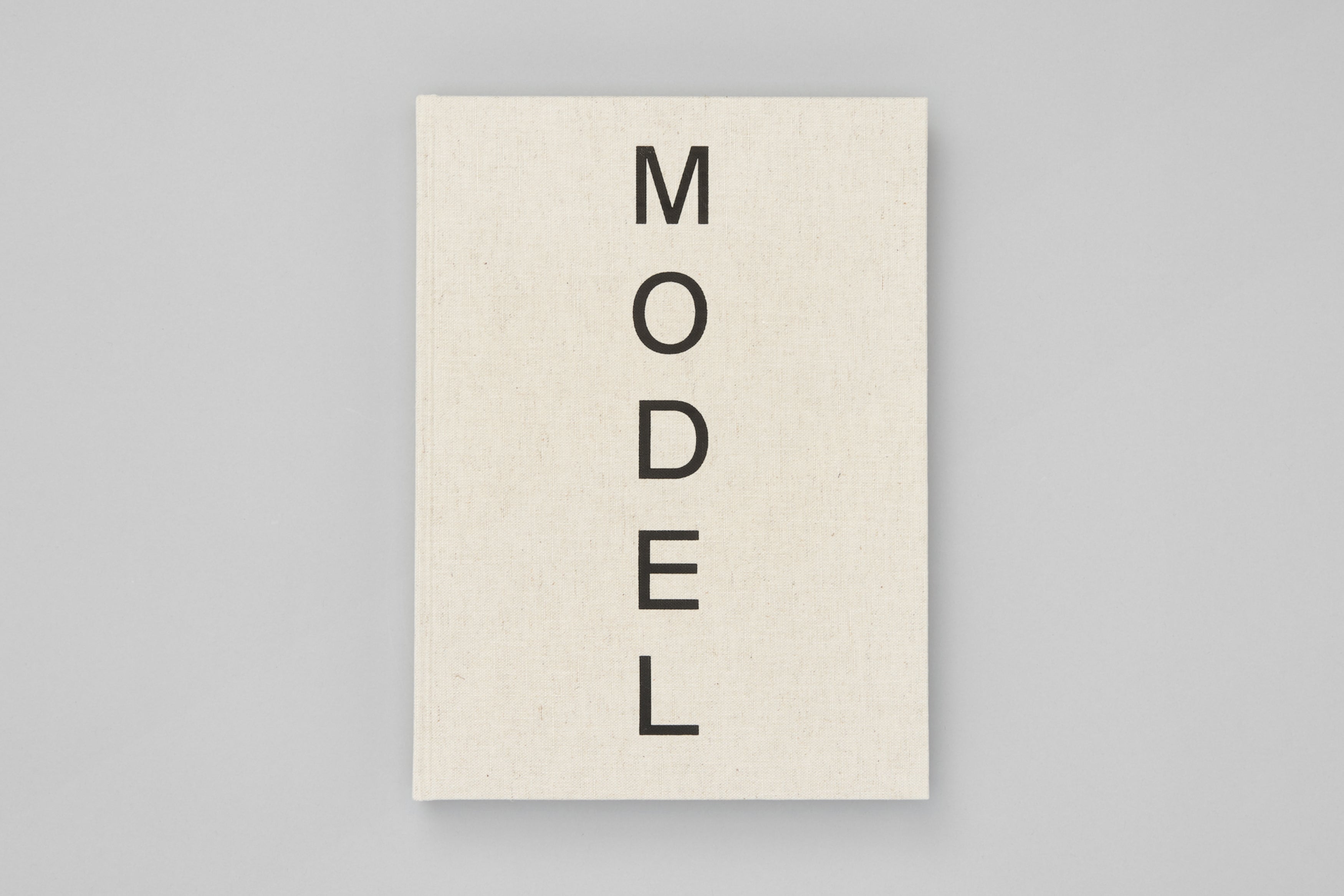 Antony Gormley 'Model' (2013)