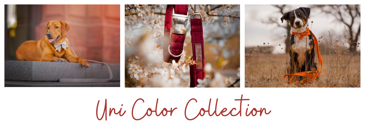 Uni Color Collection