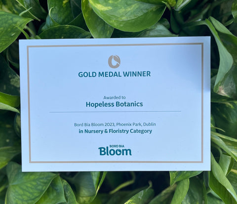 Hopeless Botanics Gold Medal Bord Bia Bloom Phoenix Park Dublin 2023