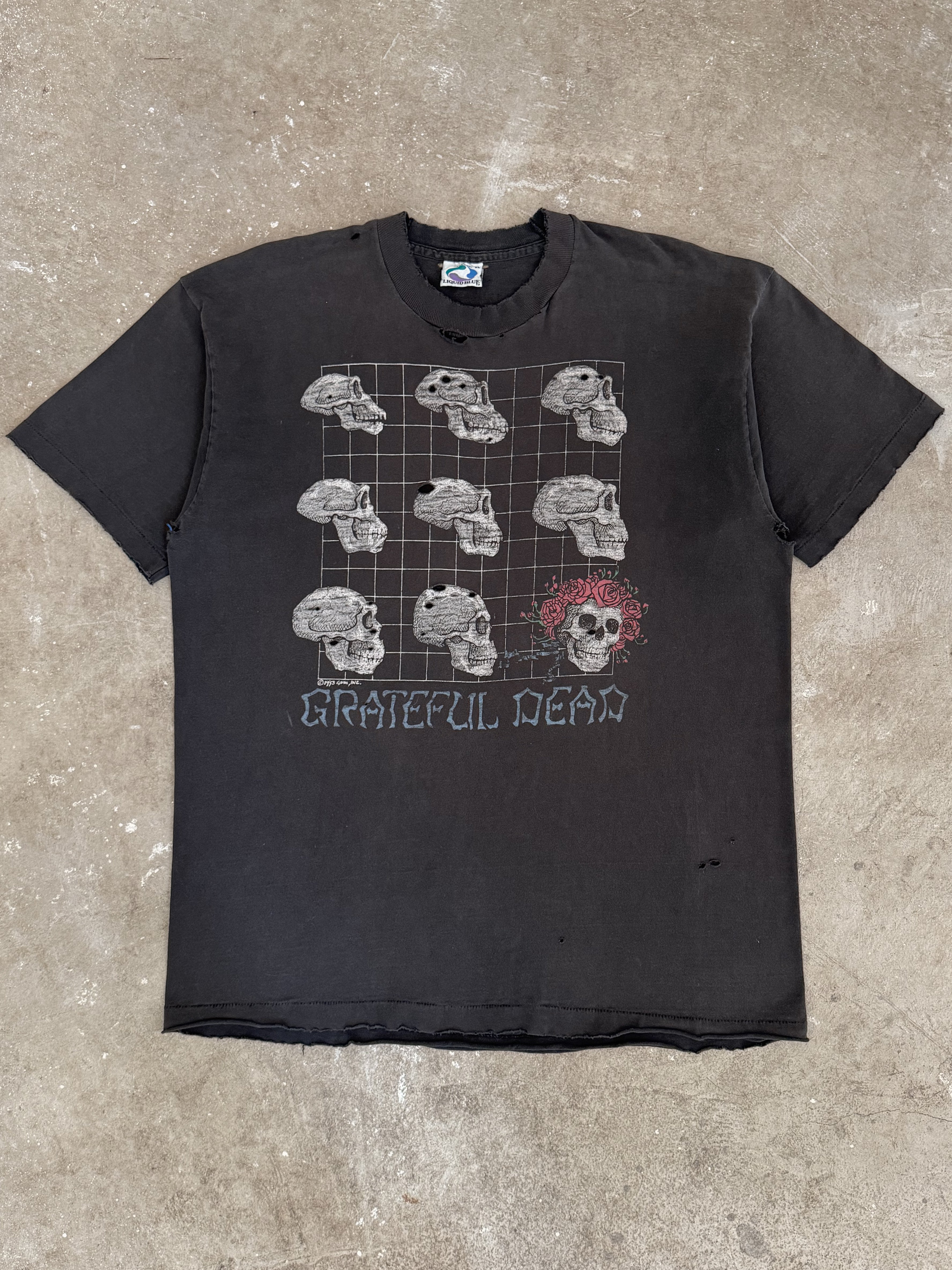 1993 Grateful Dead "Evolution" Thrashed Tee (XL)