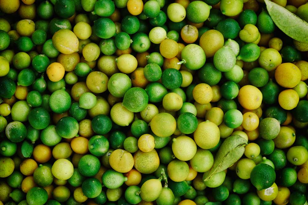 33fuel pea protein benefits - who'd have thought the humble pea
