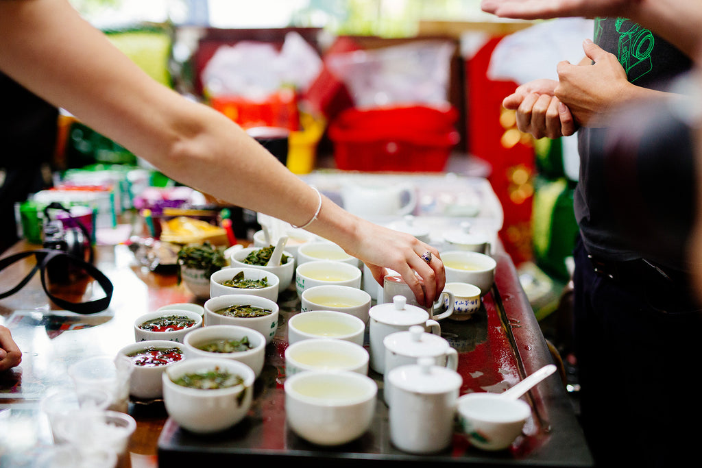 Tasting Teas at Small Tea Gardens