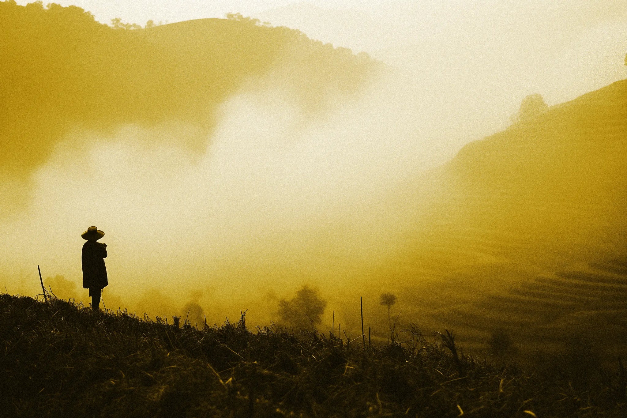 Worker stood in the fields of Yunnan China. Mist rolls across the hills.