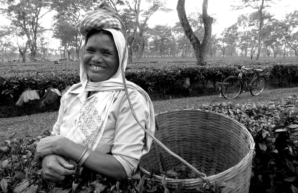 Smiling tea picker at the Khongea Estate in Assam