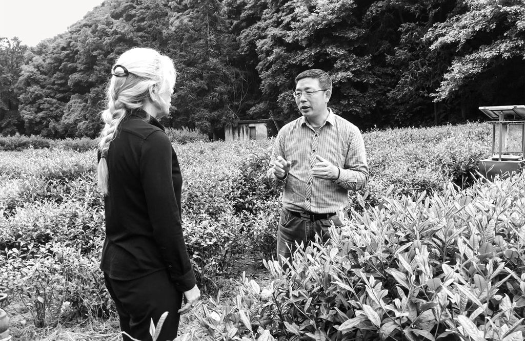 Paula Bramel and Professor Liang Chen, curator of the world’s largest collection of tea diversity