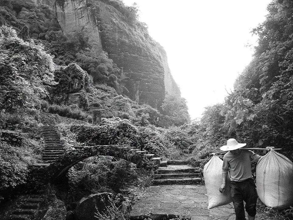 Man carrying tea in the mountains