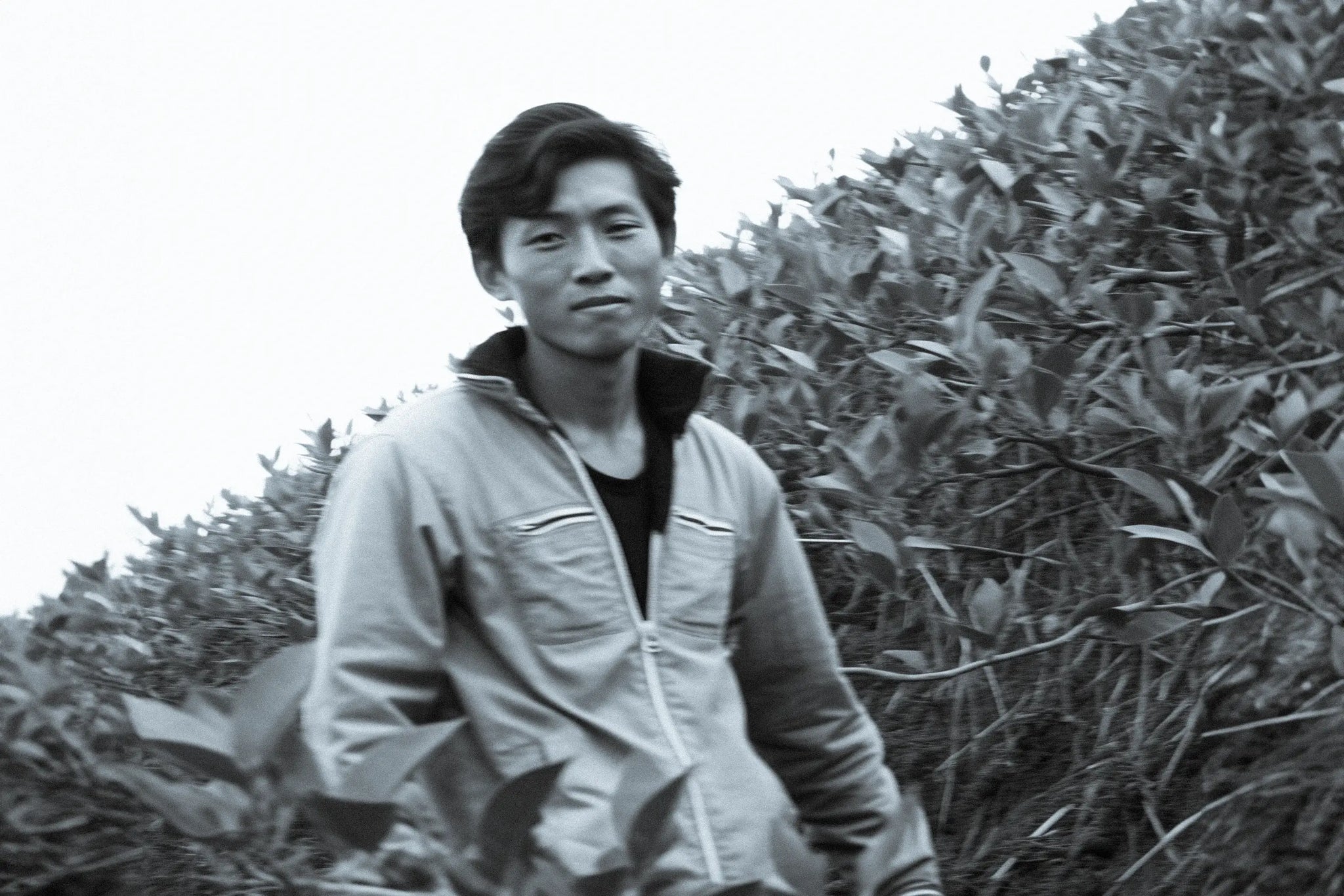 Young Man Stood in Yunnan Leaf Tea Field