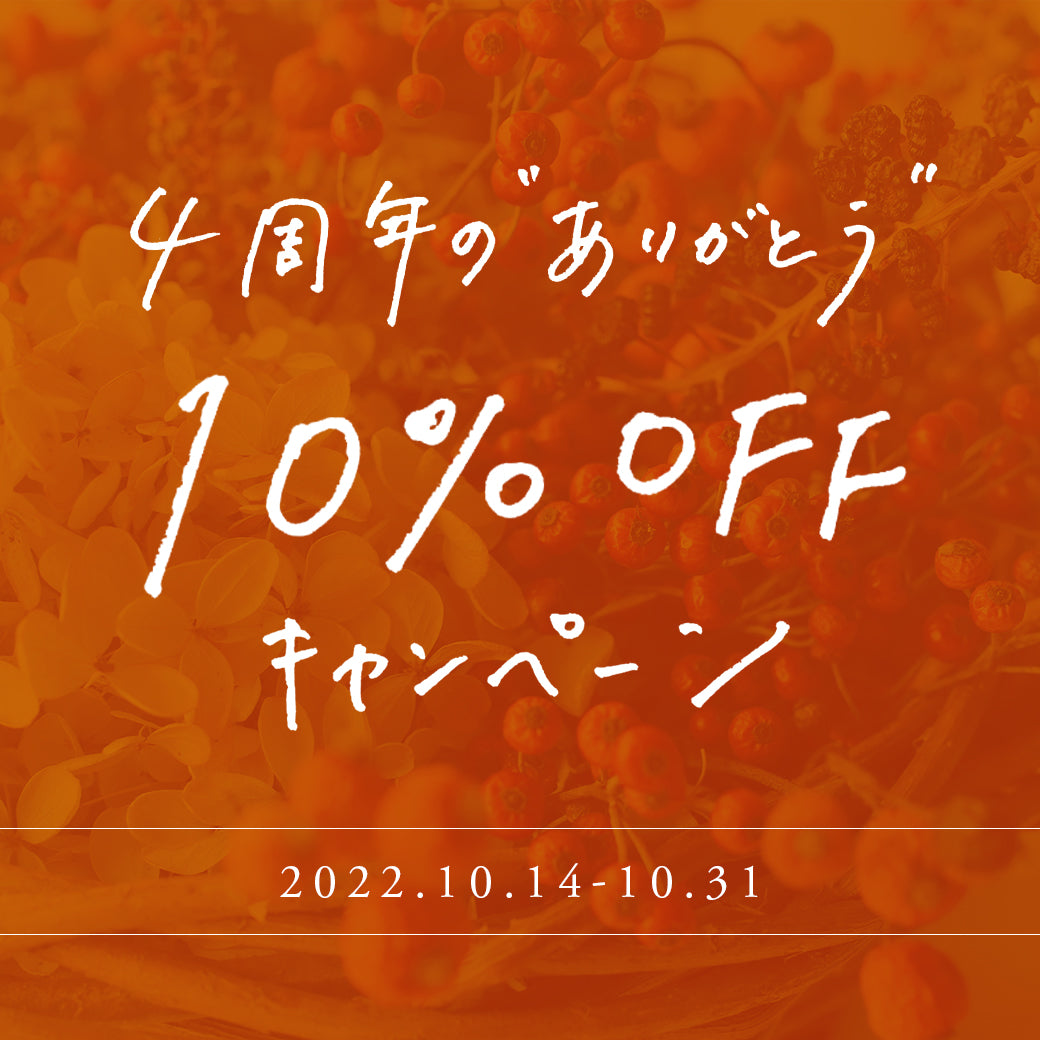 10%OFFキャンペーン