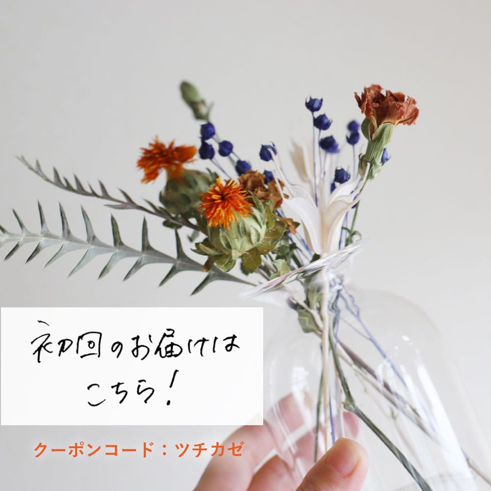 初回のお届けはこちら!
