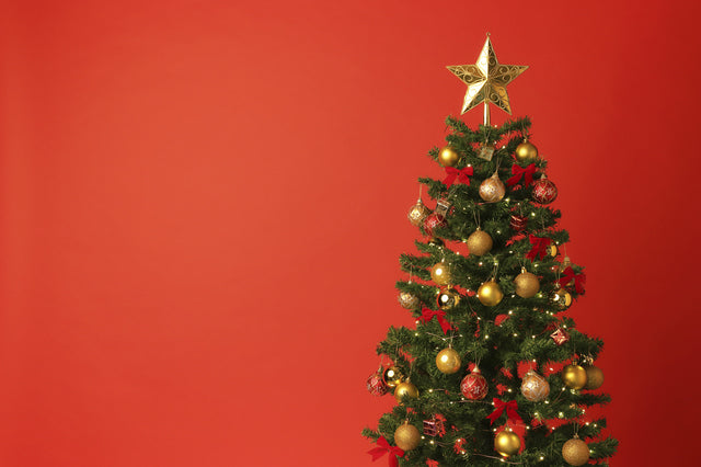 赤い壁紙によく映えるもみの木のクリスマスツリー