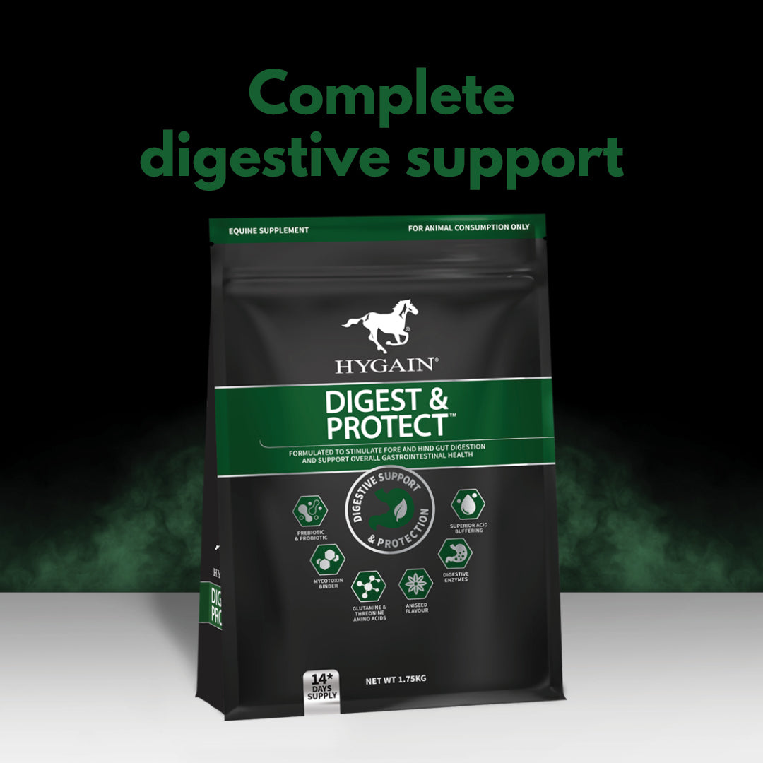 Equine digestive supplement