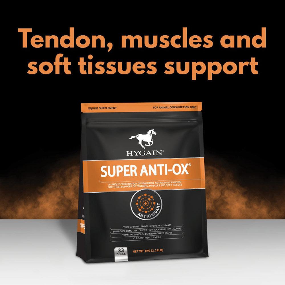 Antioxidants for horse health