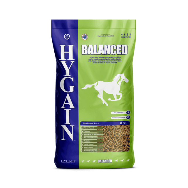 are horses used in dog food