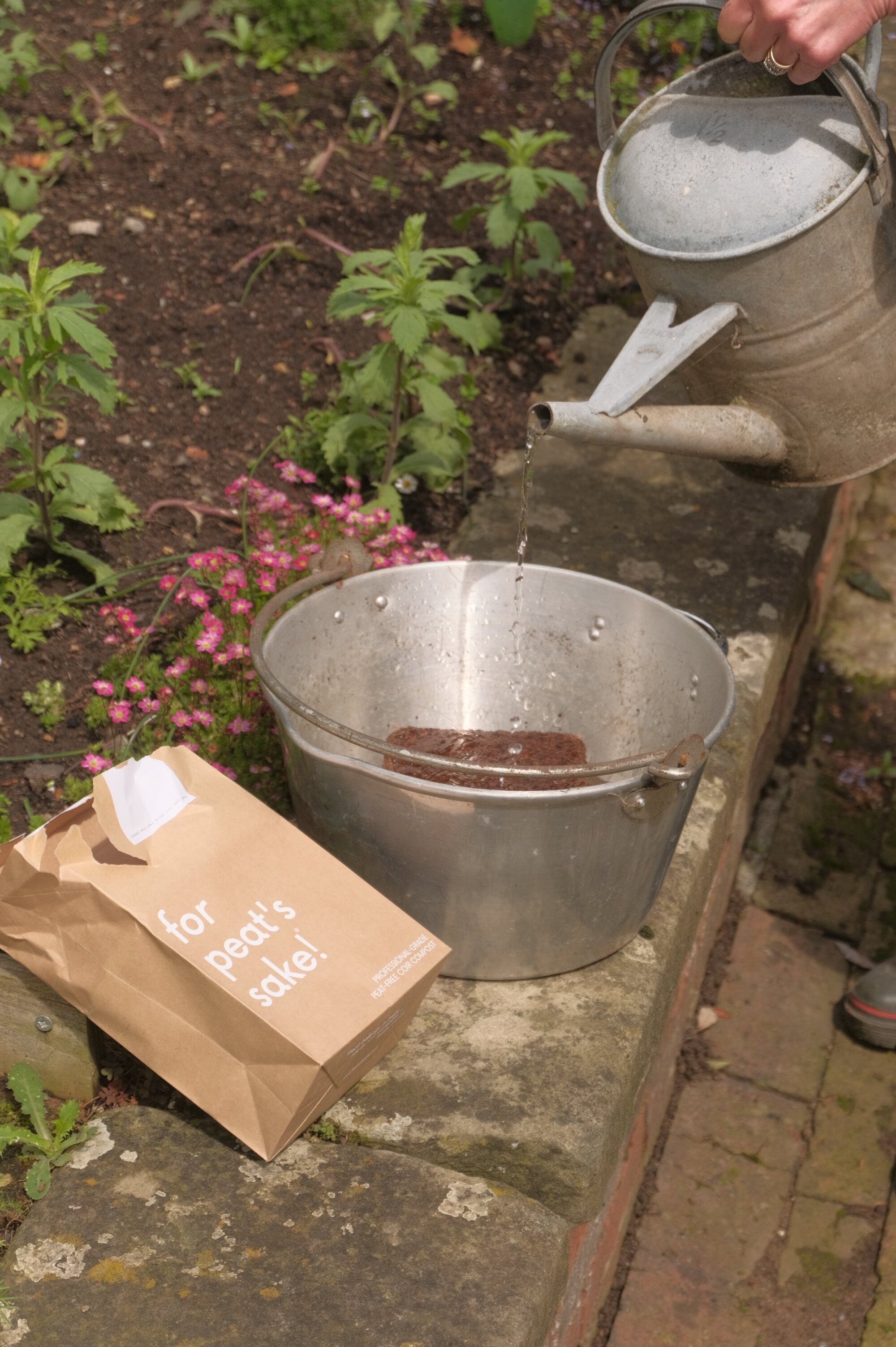 Hydrating coir compost, nourishing the garden's soil for vibrant plant growth