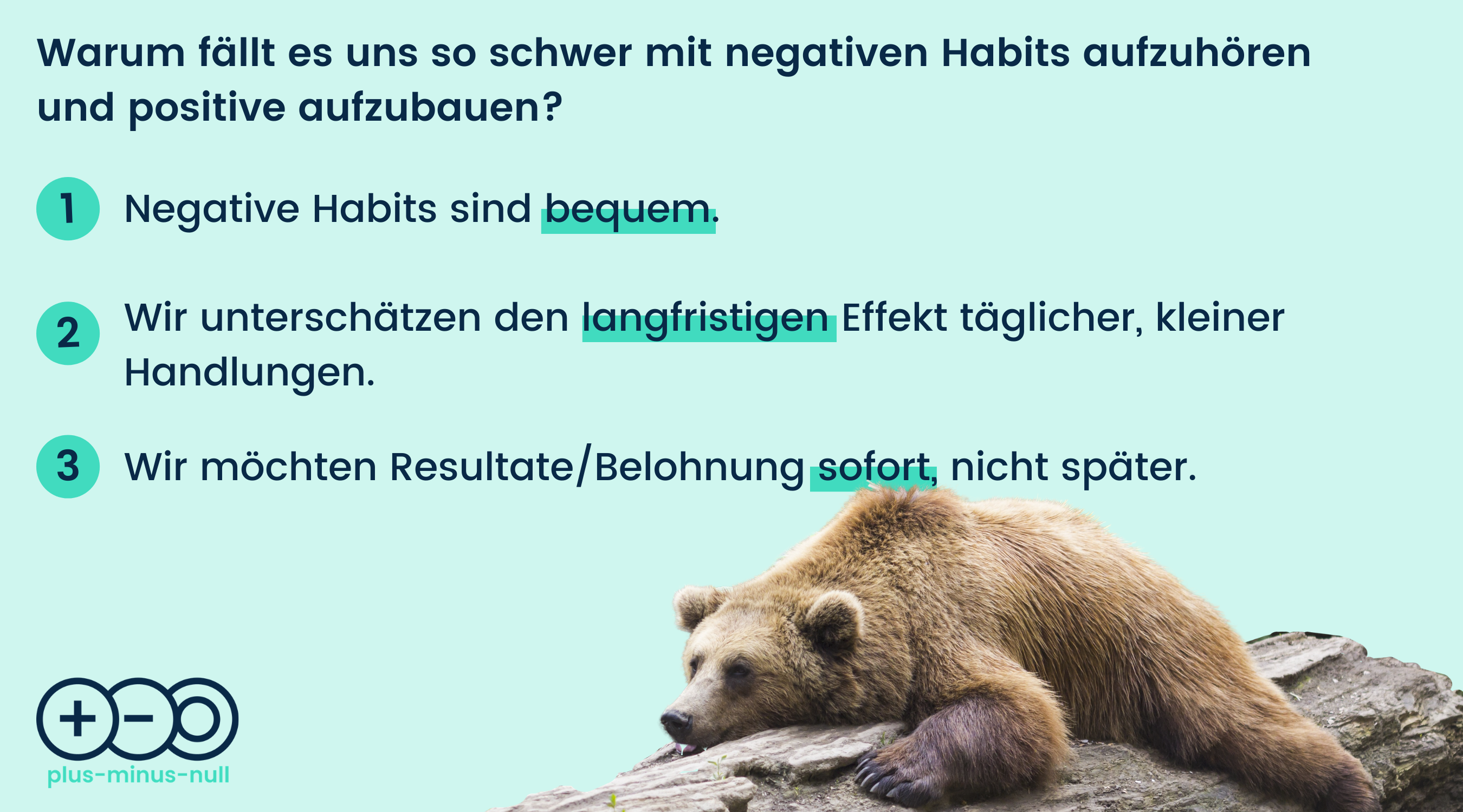 Brauner Bär liegt Baumstamm ausruhen negative Gewohnheit schlechte Habit