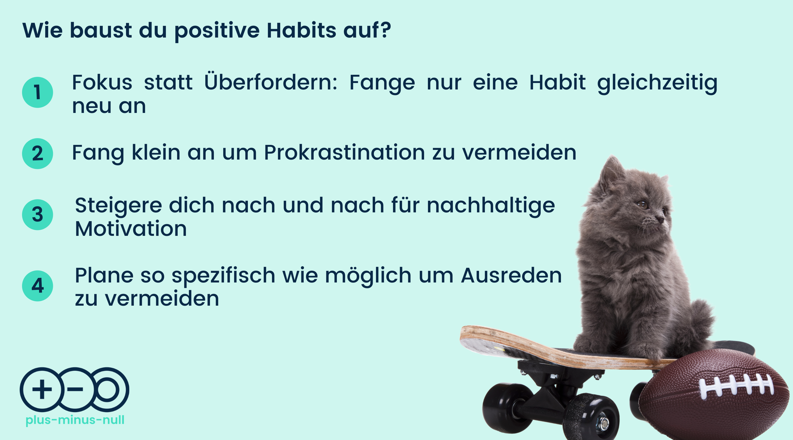 Graue Katze sitzt auf einem Skateboard erklärt positive Gewohnheiten und Habits keine Prokrastination oder Ausreden