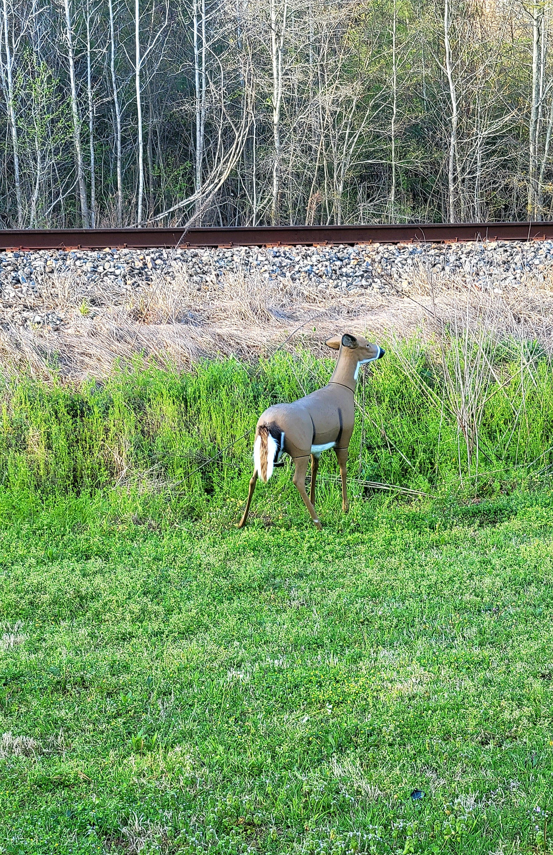 Twitchy Tail Deer Decoy