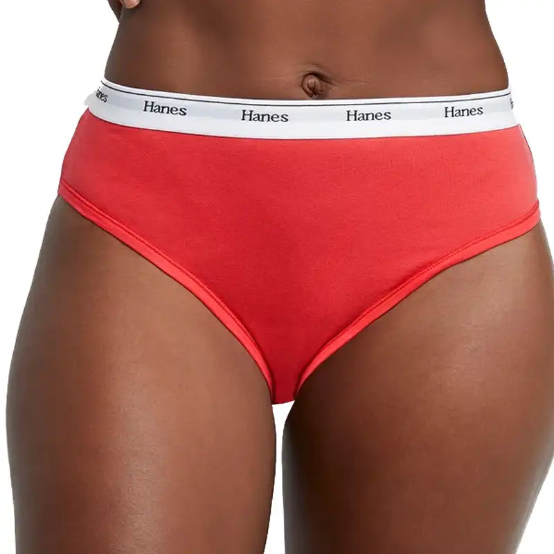Hanes Ladies Cotton Stretch Brief 4pk Underwear – Camp Connection