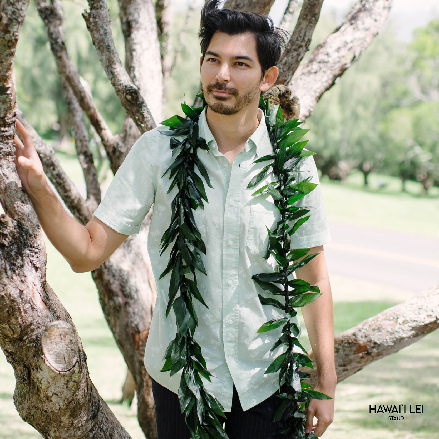 Double Ti Leaf Maile Style Lei - Hawaii Lei Stand By Beretania product image