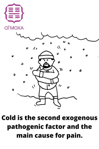 Cold is a exogenic morbid  factor