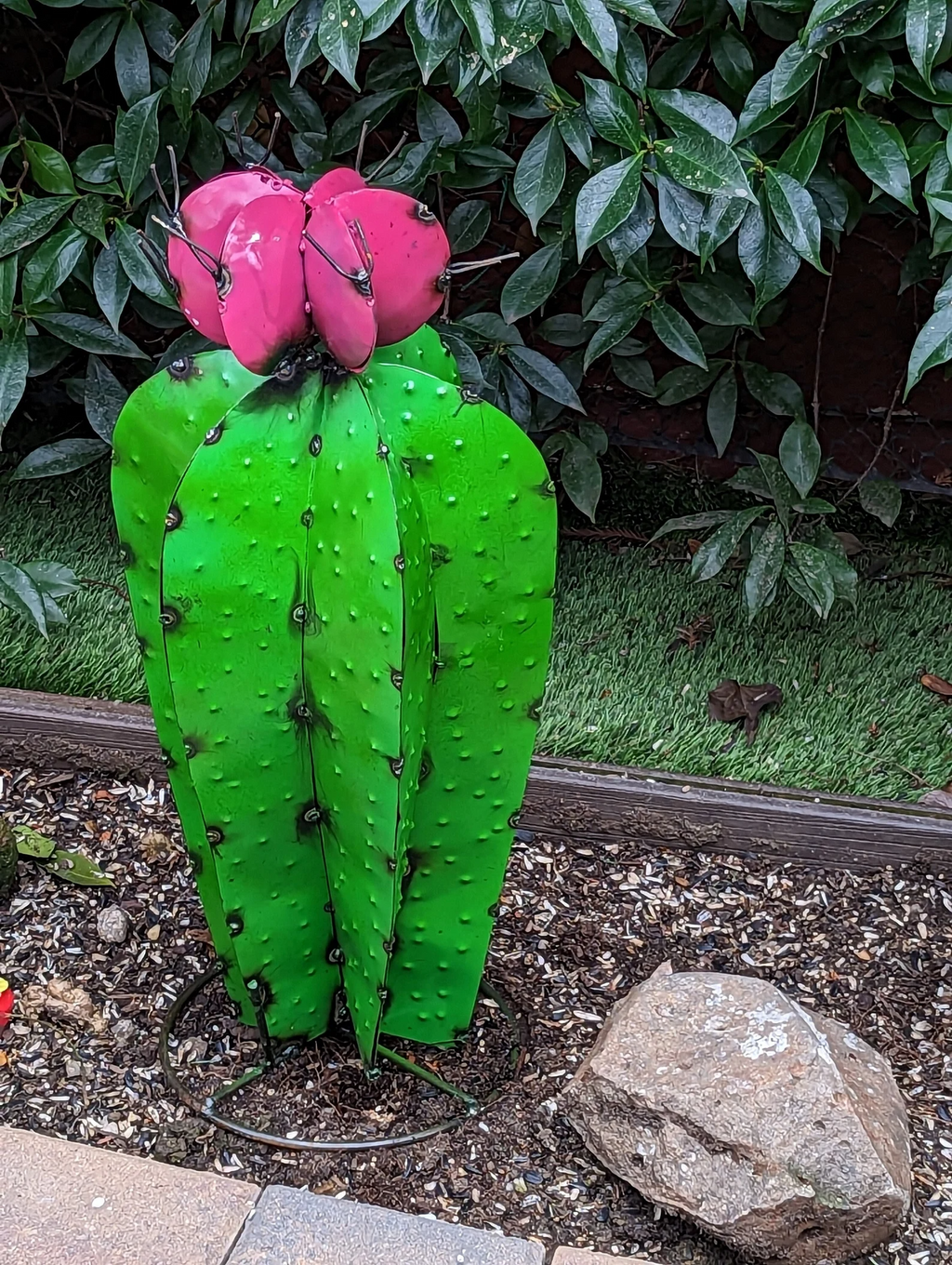 Deko-Kaktus Tegucigalpa, &klevering