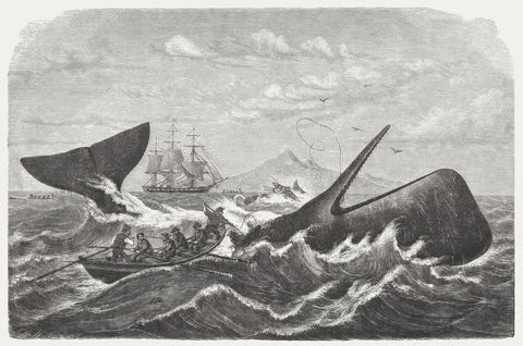 How Nantucket Came to Be the Whaling Capital of the World, History