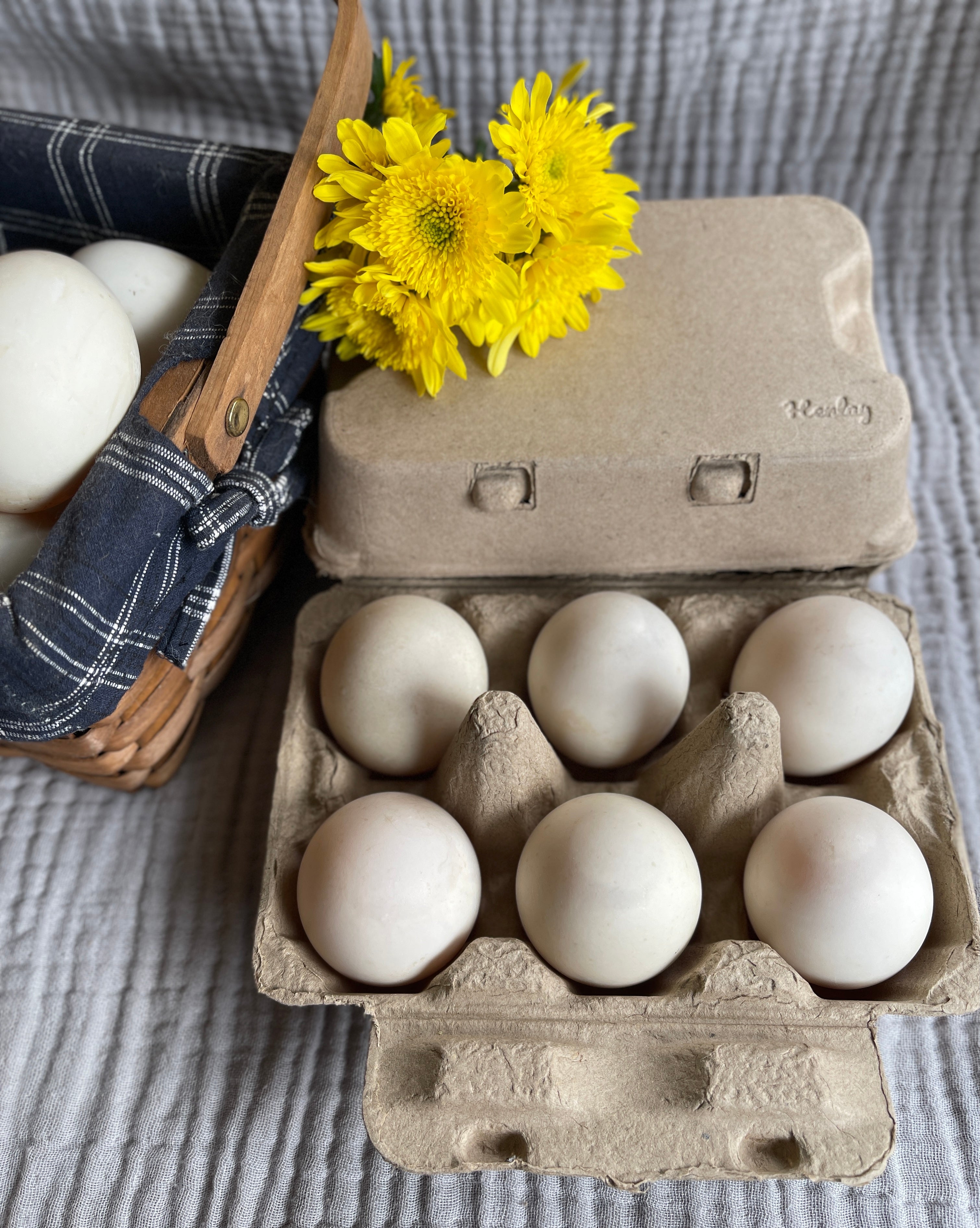 Duck Egg Cartons- Holds Half Dozen Jumbo Eggs- Blank Top- 100/Pack - Henlay product image