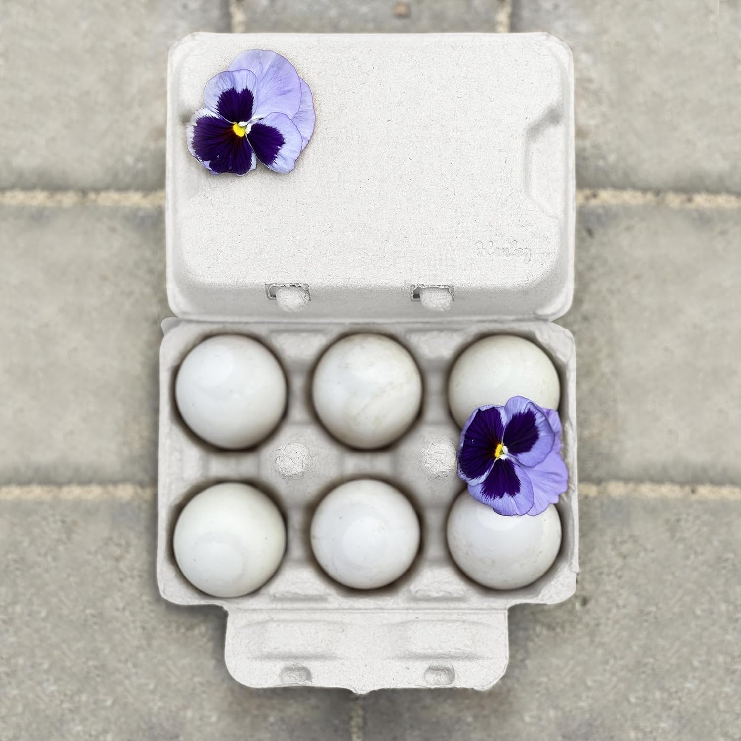 Henlay White Duck Egg Cartons- Holds Half Dozen Jumbo Eggs- Blank Flat Top (20 Pack) - Henlay product image