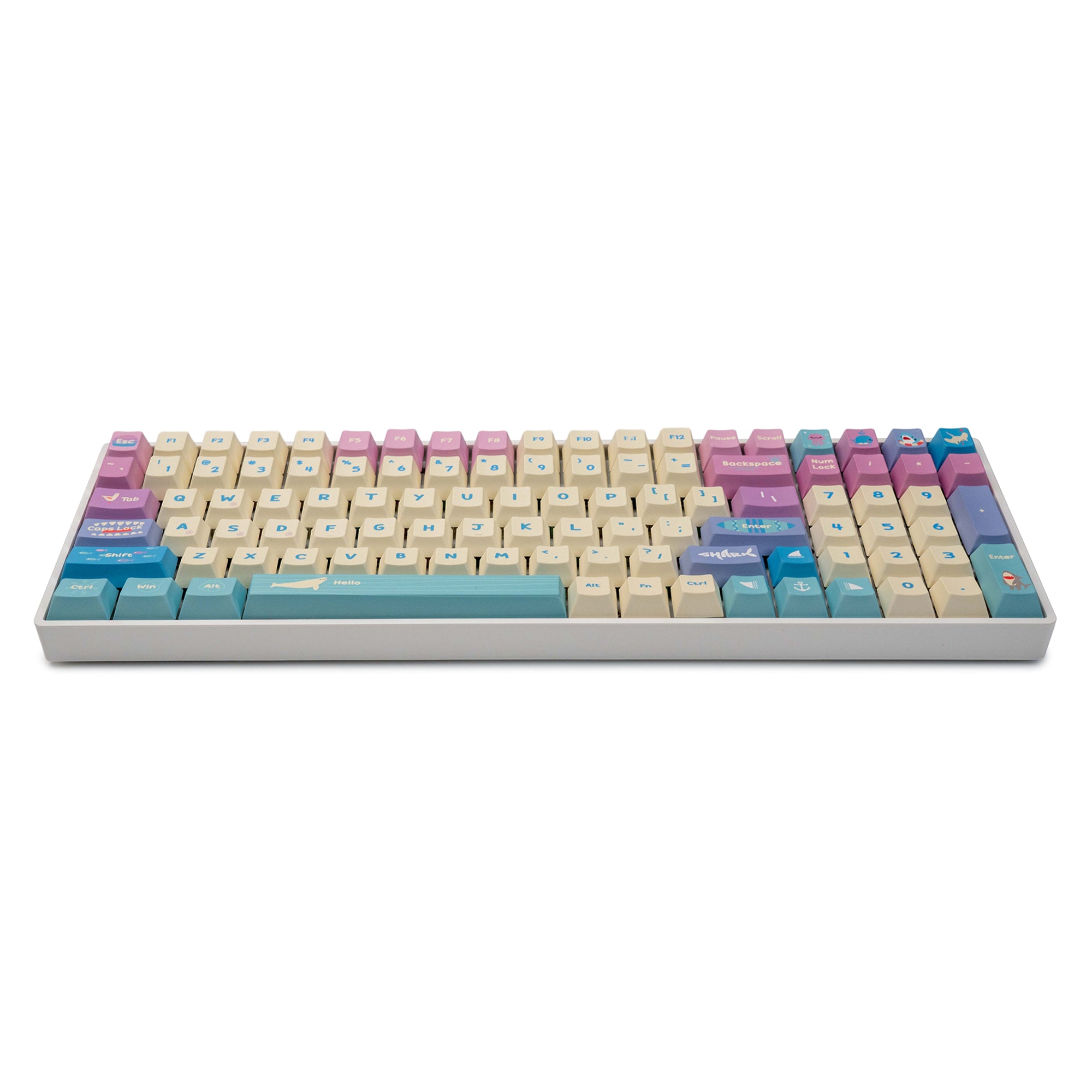 Little-Shark-PBT-Cherry-Profile-Keycaps-shallow-sea-up