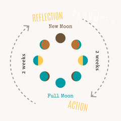 lunar cycle